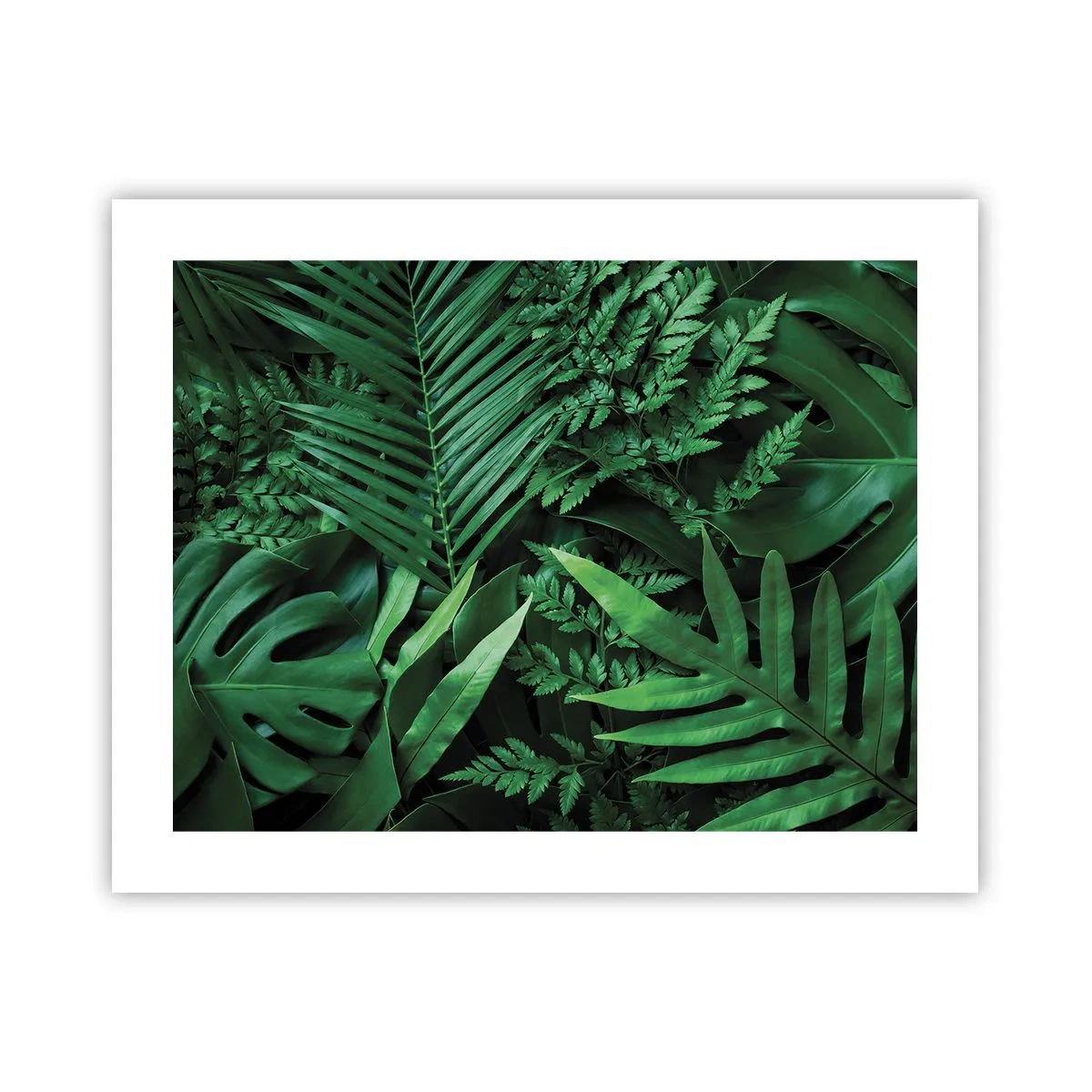 Poster - Avvolti nel verde - 50x40 cm