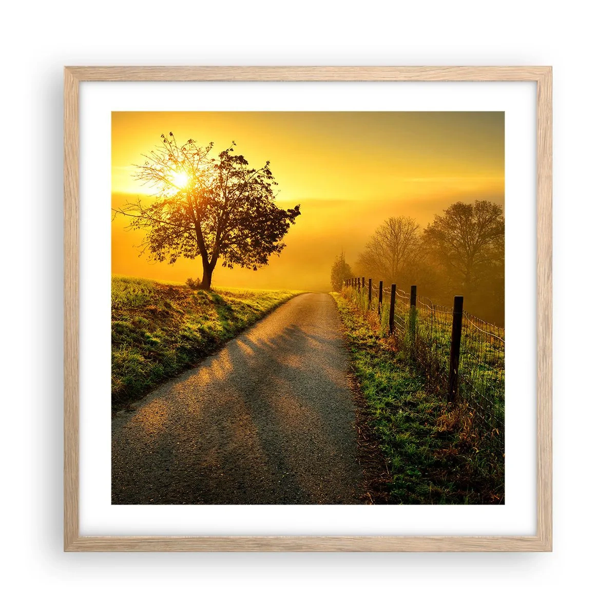 Poster in cornice rovere chiaro - Pomeriggio di miele - 50x50 cm