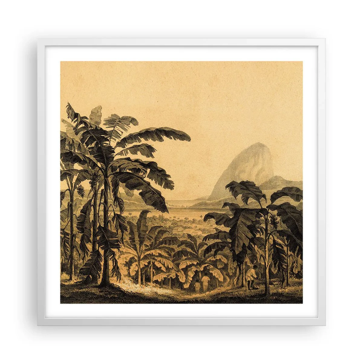 Poster in cornice bianca - Nel clima coloniale - 60x60 cm