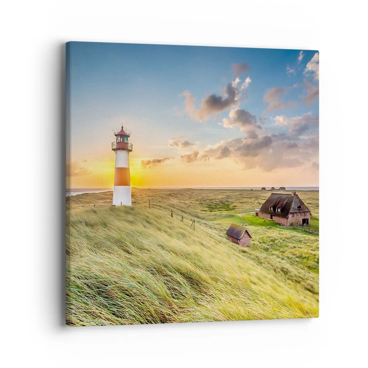 Quadro su tela - Stampe su Tela - Tra le onde - 40x40 cm