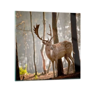 Quadro su vetro - La luce della giovinezza - 30x30 cm