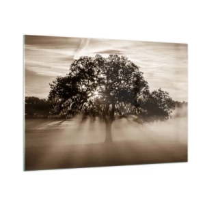 Quadro su vetro - Un albero nella nebbia mattutina con i raggi del sole che brillano attraverso i rami - 100x70cm - L'albero delle sole buone notizie - Decorazione murale moderna per soggiorno e camera da letto ARTTOR
