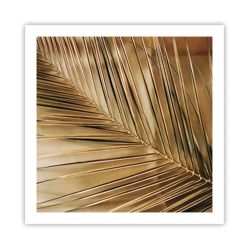 Poster - Colonnato naturale - 60x60 cm