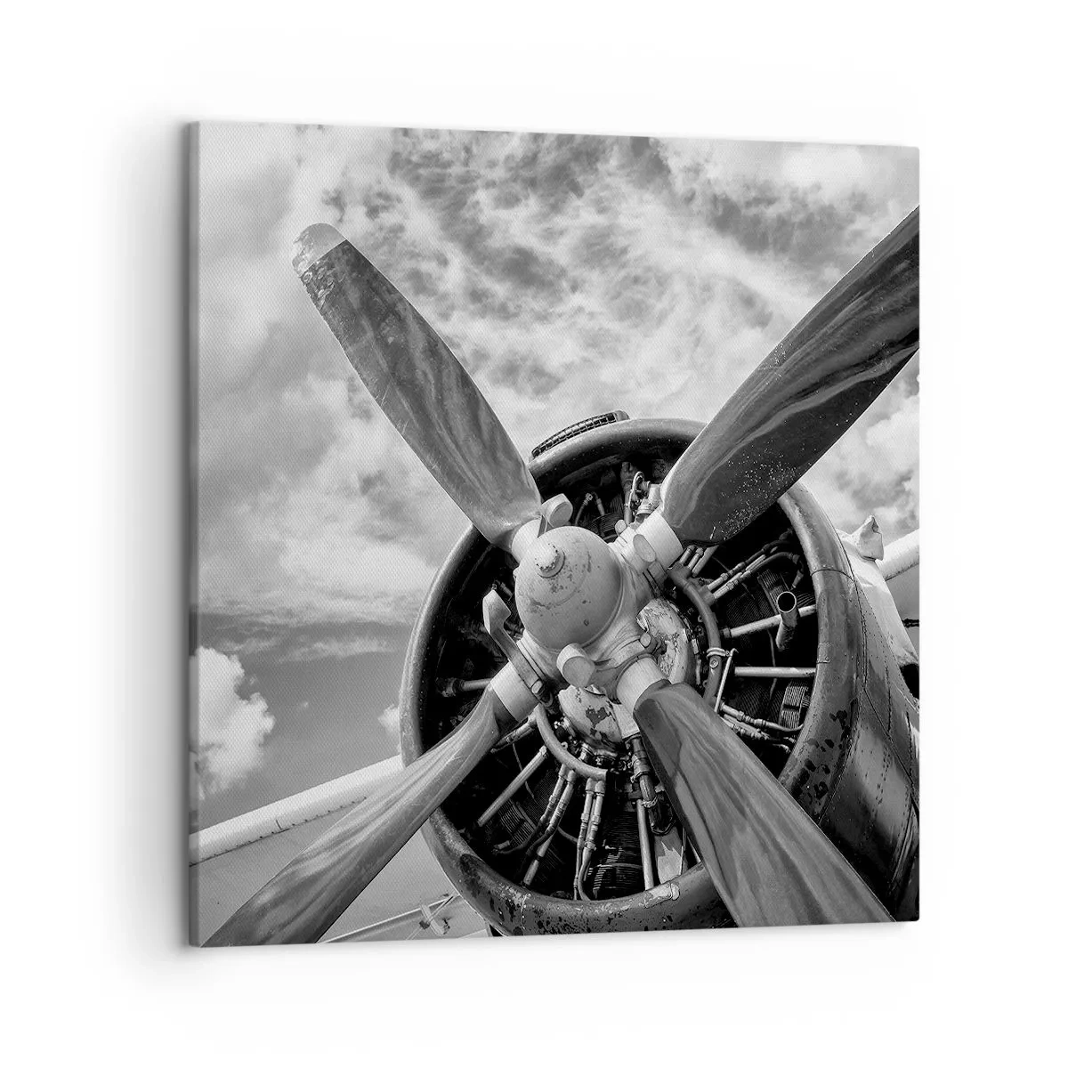 Quadro su tela - Stampe su Tela - Il dominatore dell'aria - 50x50 cm