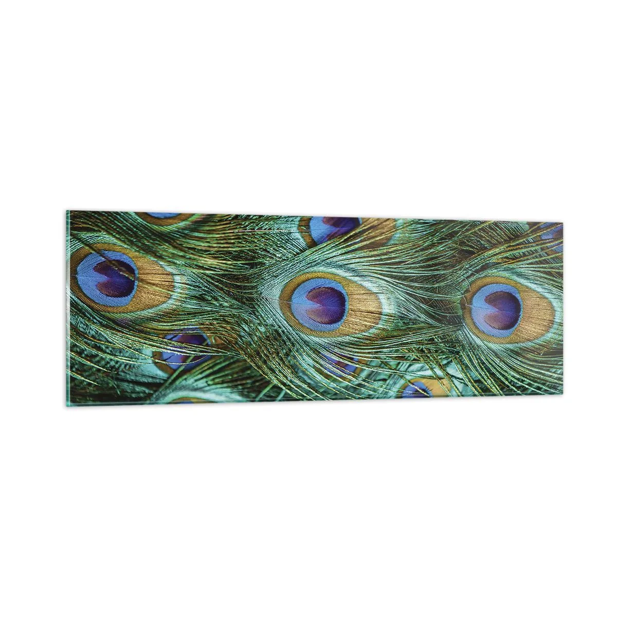 Quadro su vetro - Lo sguardo del pavone - 90x30 cm