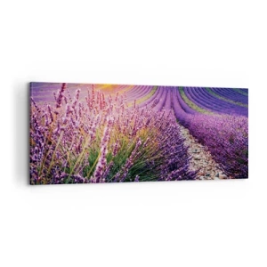 Quadro su tela - Stampe su Tela - Campo profumato - 100x40 cm