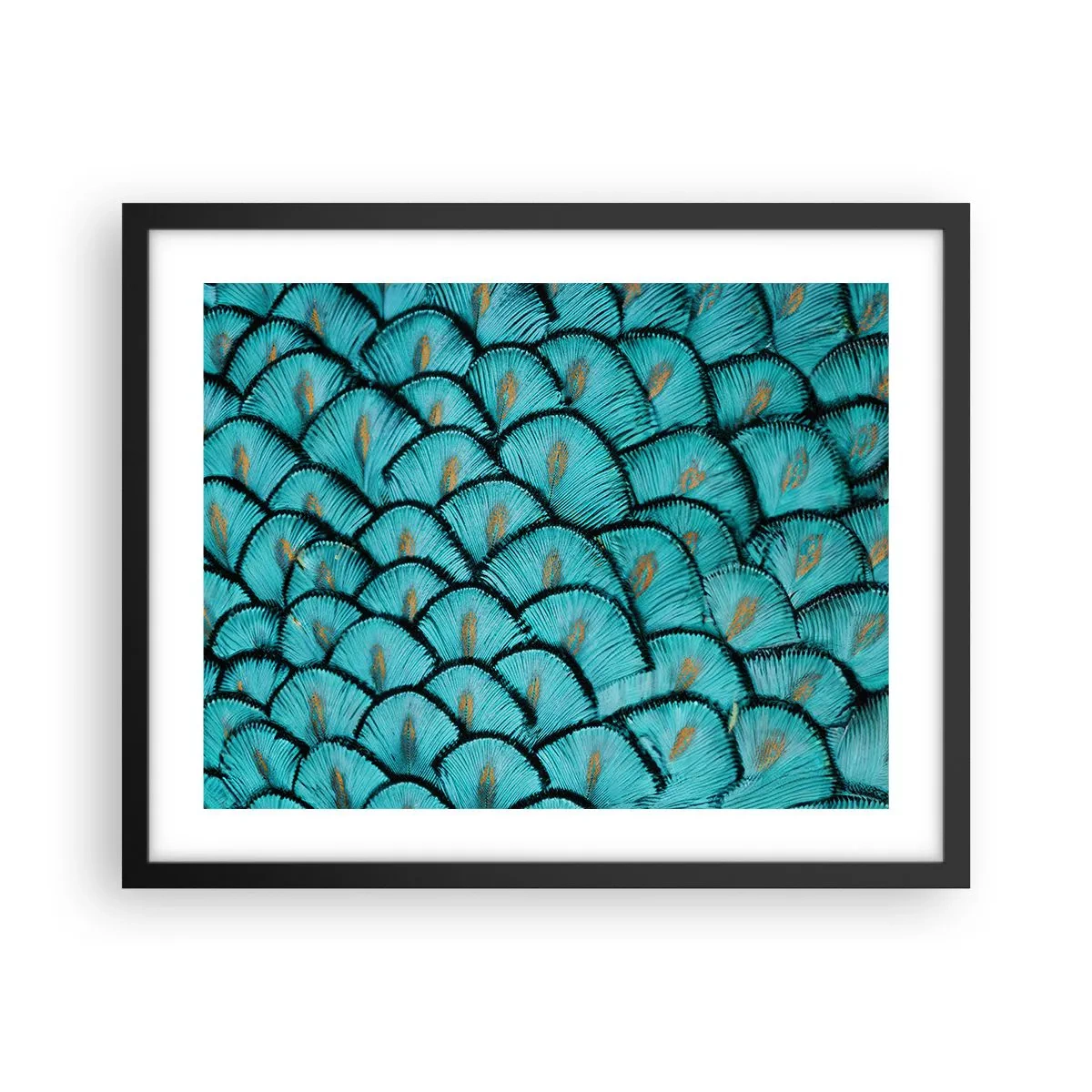 Poster in cornice nera - La grande festa delle piume - 50x40 cm