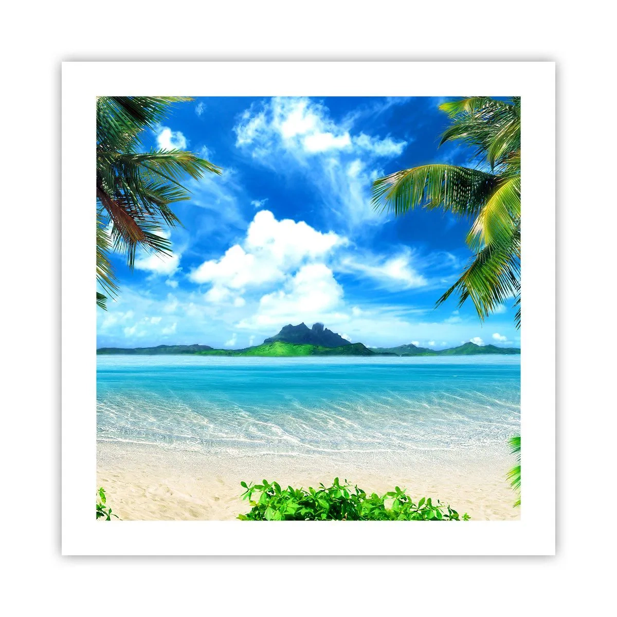 Poster - L'azzurro dei tropici - 50x50 cm