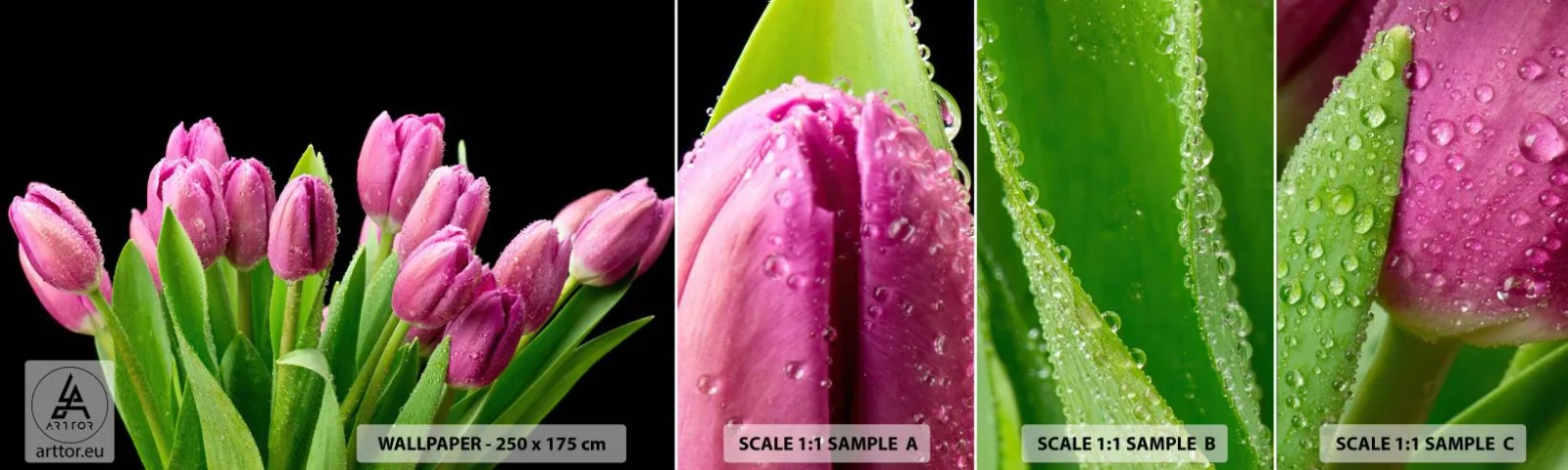 Campione Di Fotomurale Standard Eco - Gioia lilla della primavera - Fiori, Tulipani, Mazzo di fiori - 100x30 cm