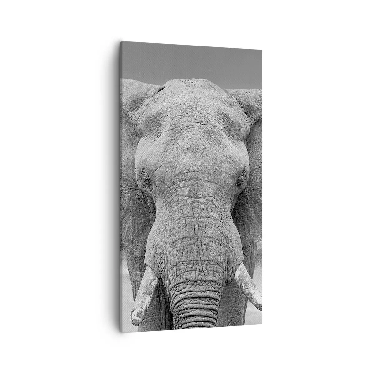 Quadro su tela - Stampe su Tela - Benvenuti nel mio mondo - 55x100 cm