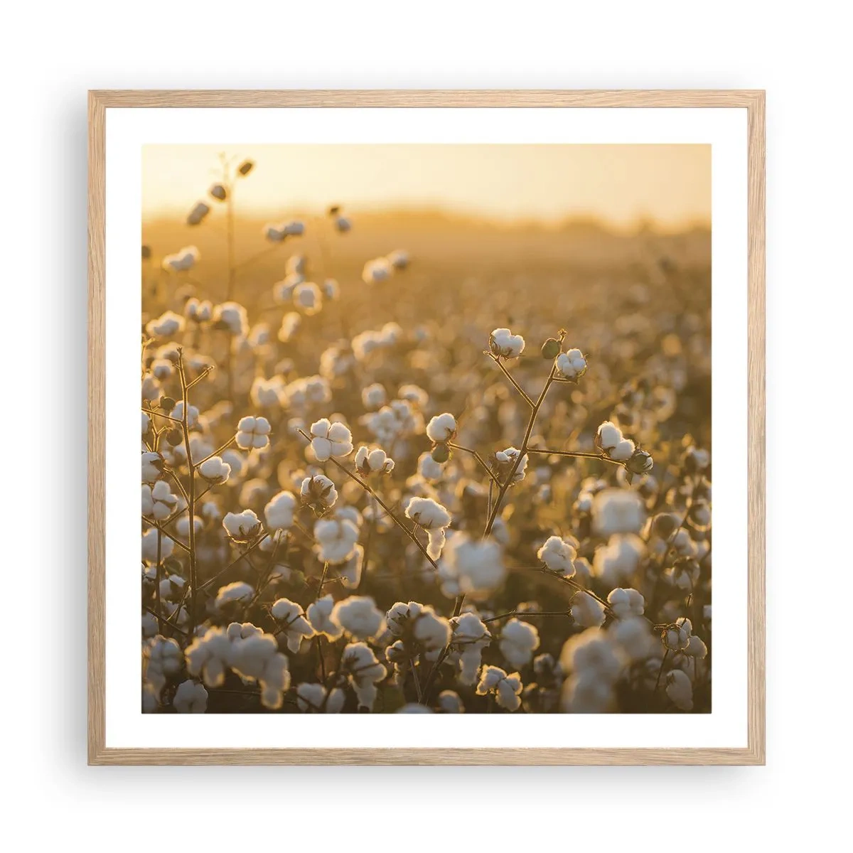 Poster in cornice rovere chiaro - Campo di morbidezza - 60x60 cm