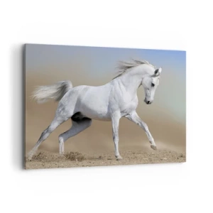 Quadro su tela - Stampe su Tela - Un cavallo bianco che galoppa attraverso un paesaggio desertico - 120x80cm - La più bella favola araba - Decorazione murale moderna per soggiorno e camera da letto ARTTOR