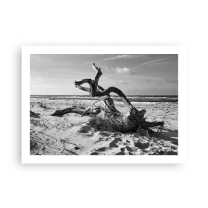 Poster - Scolpito dal mare - 70x50 cm