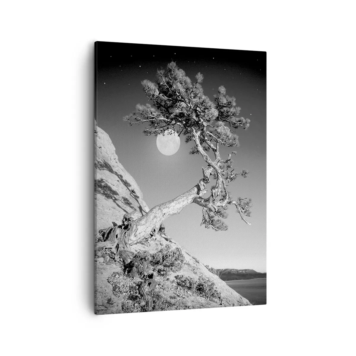 Quadro su tela - Stampe su Tela - Albero bianco e nero su una scogliera con la luna sullo sfondo - 50x70cm - Guerriera vittoriosa - Decorazione murale moderna per soggiorno e camera da letto ARTTOR