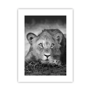 Poster - Cucciolo reale - 30x40 cm