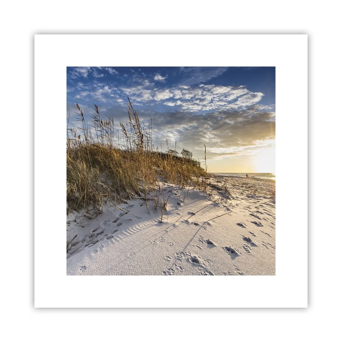 Poster - Invito a passeggiare - 30x30 cm