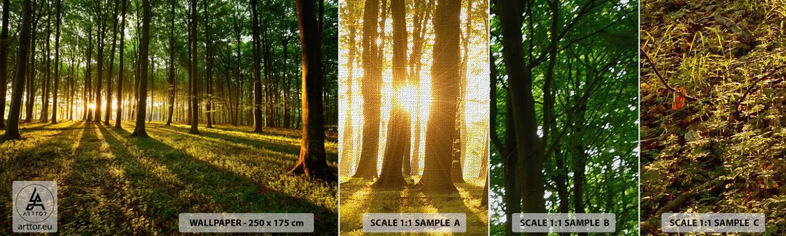 Campione di Fotomurale Premium Canvas - La foto di ogni primavera - Paesaggio, foresta, Natura - 100x30 cm