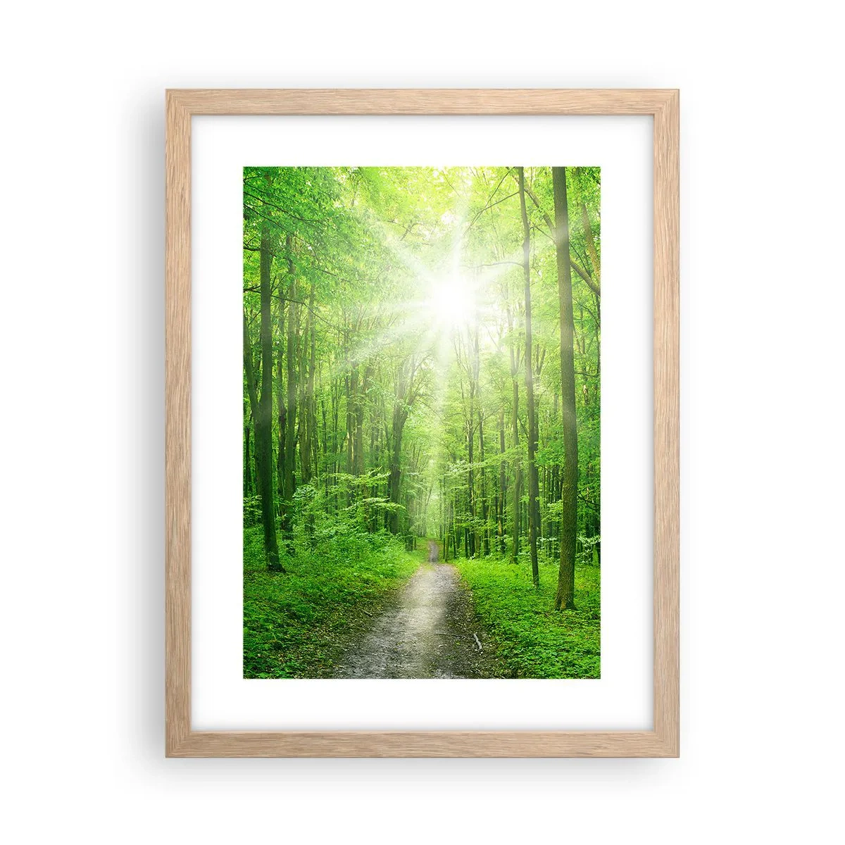 Poster in cornice rovere chiaro - Cattedrale verde - 30x40 cm