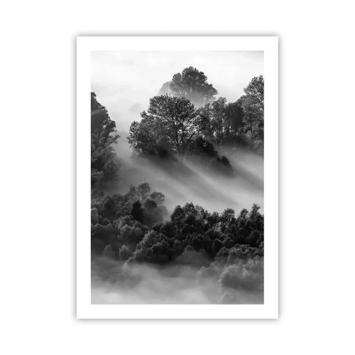 Poster - Foresta nebbiosa nei toni del bianco e del nero - 50x70cm - Risveglio dal sonno - Decorazione murale moderna per soggiorno e camera da letto ARTTOR