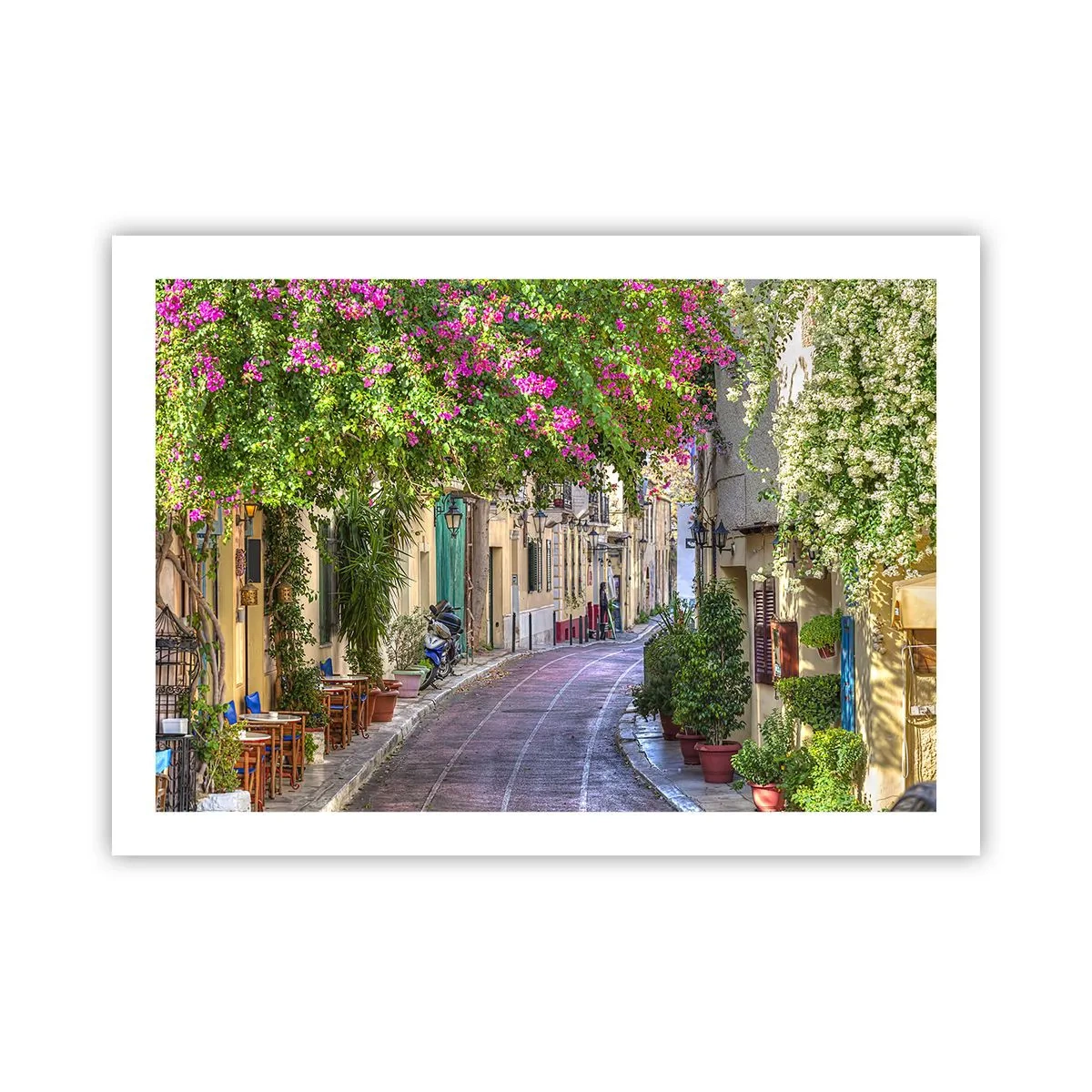 Poster - Angolo fiorito - 70x50 cm