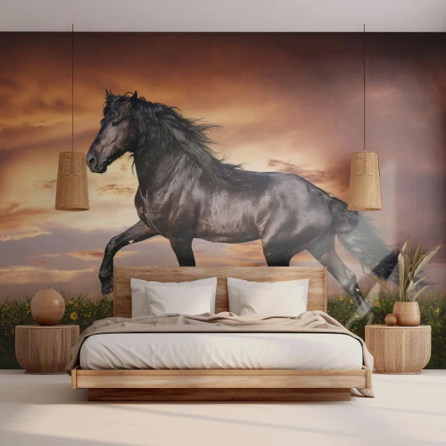 Fotomurali Premium Sand - Il principe nero - Animali, Cavallo arabo, Paesaggio - 500x350 cm