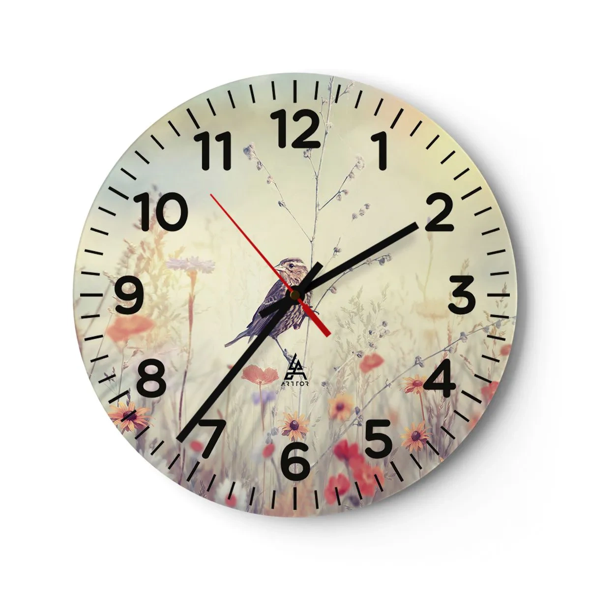 Orologio da parete - Orologio in Vetro - Ritratto d'uccello con prato di sfondo - 40x40 cm