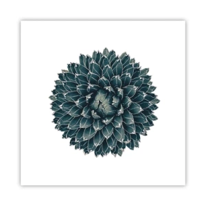 Poster - La stella del deserto - 40x40 cm