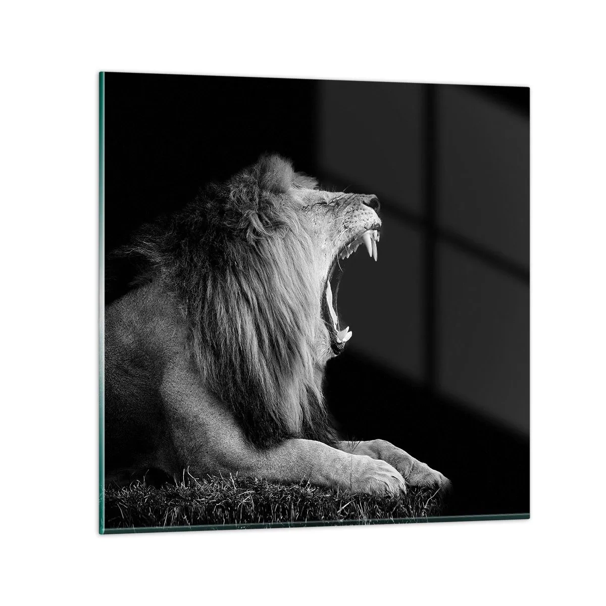 Quadro su vetro - Senza alcun dubbio - 50x50 cm