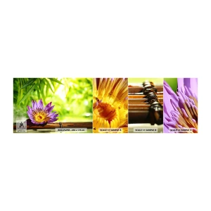 Campione di Fotomurale Adesivo Deluxe Sticker - Al sole dell'Asia - Fiore, fiore di loto, Bambù - 100x30 cm