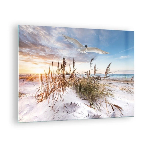 Quadro su vetro - Un uccello che vola sopra le dune al tramonto - 70x50cm - Vento dal mare - Decorazione murale moderna per soggiorno e camera da letto ARTTOR