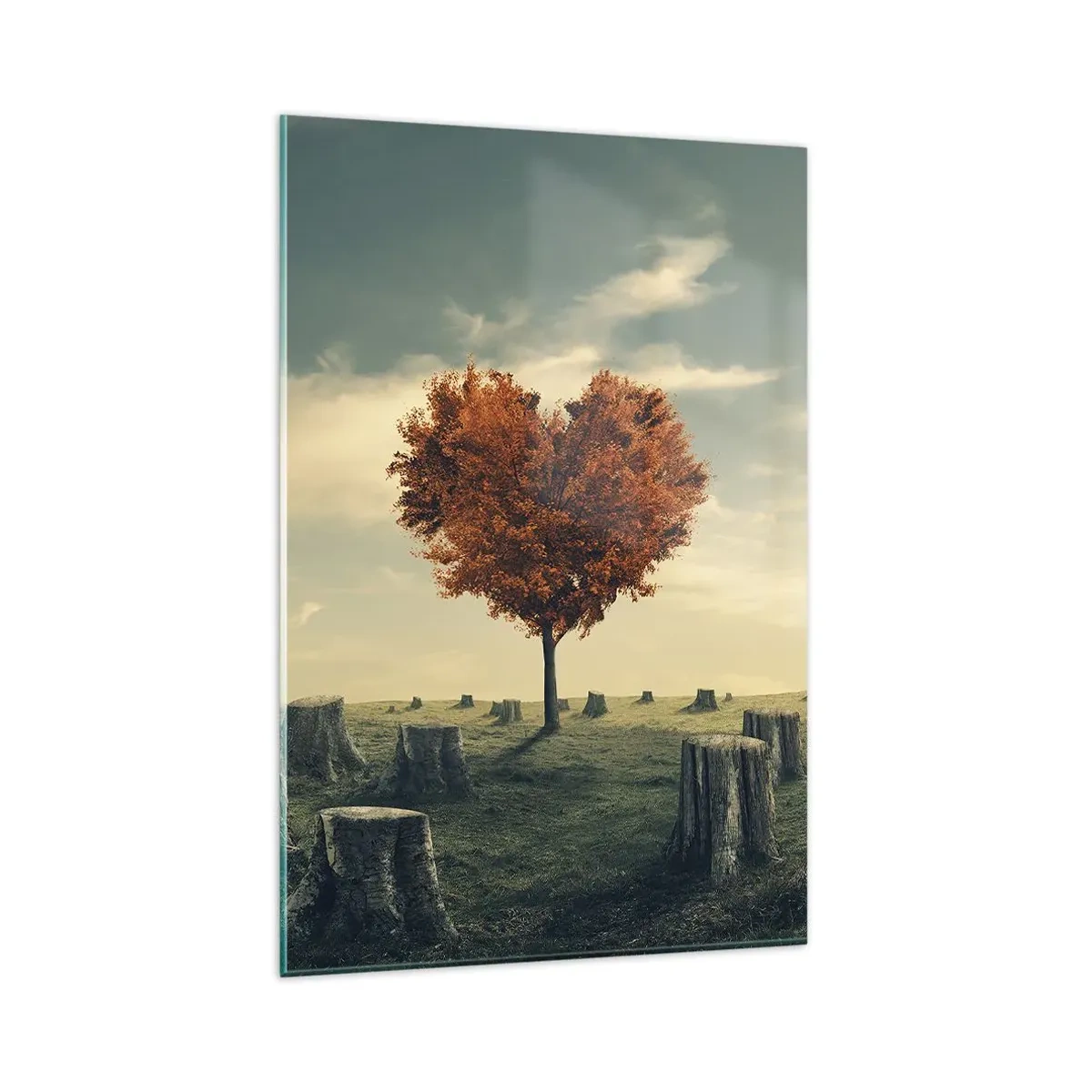 Quadro su vetro - Un albero a forma di cuore in un campo di ceppi, simbolo di speranza - 80x120cm - C'è sempre speranza - Decorazione murale moderna per soggiorno e camera da letto ARTTOR