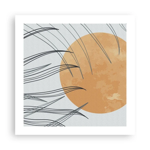 Poster - Sempre verso il sole - 50x50 cm