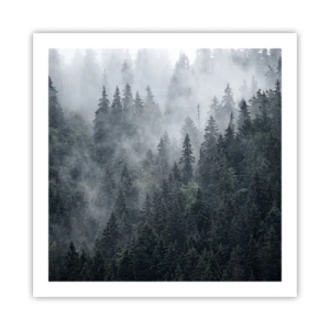 Poster - Alba nel bosco - 60x60 cm
