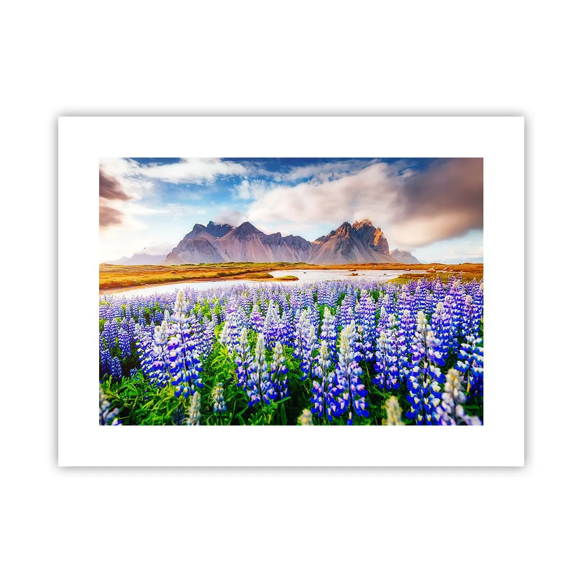 Poster - Forza e asprezza accanto alla mitezza - 40x30 cm