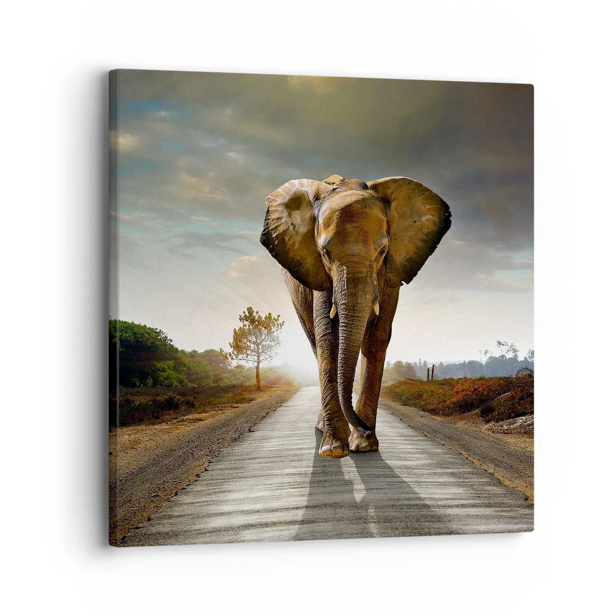 Quadro su tela - Stampe su Tela - E non nel negozio di cristalli - 30x30 cm