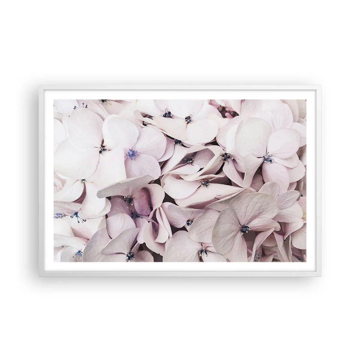 Poster in cornice bianca - Un'alluvione di fiori - 91x61 cm