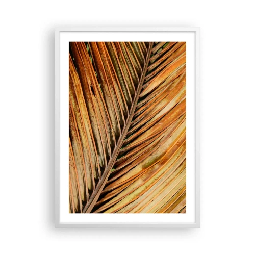 Poster in cornice bianca - Oro di cocco - 50x70 cm