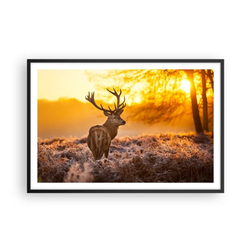 Poster in cornice nera - Il re del bosco estivo - 91x61 cm