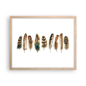Poster in cornice rovere chiaro - Composizione di piume - 50x40 cm