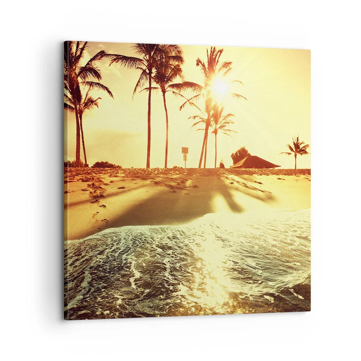 Quadro su tela - Stampe su Tela - Pomeriggio in California - 60x60 cm