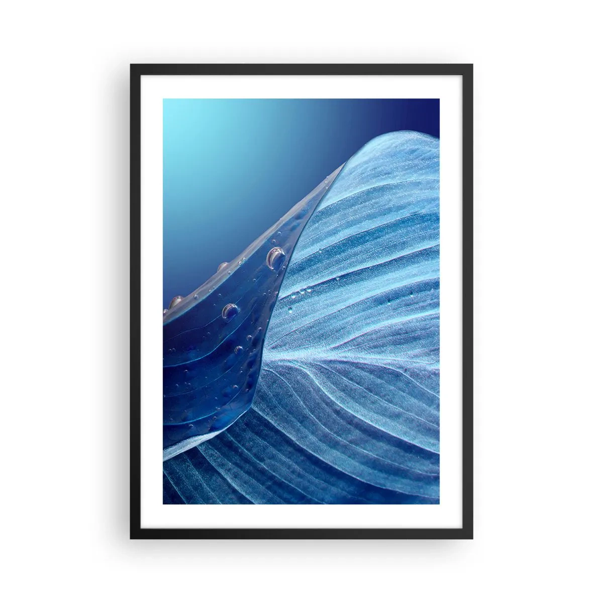 Poster in cornice nera - Una foglia con gocce d'acqua nelle tonalità del blu - 50x70cm - Gocce di blu nascoste - Decorazione murale moderna per soggiorno e camera da letto ARTTOR