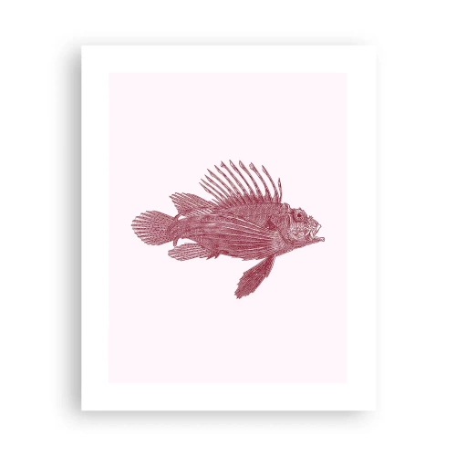 Poster - Abitante di mari esotici - 40x50 cm