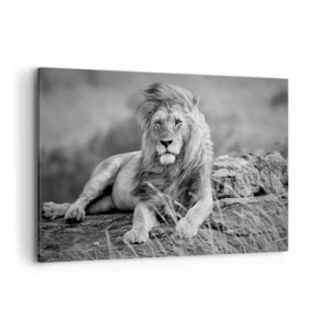 Quadro su tela - Stampe su Tela - Leone appoggiato su una roccia in stile monocromatico - 120x80cm - La siesta del re - Decorazione murale moderna per soggiorno e camera da letto ARTTOR