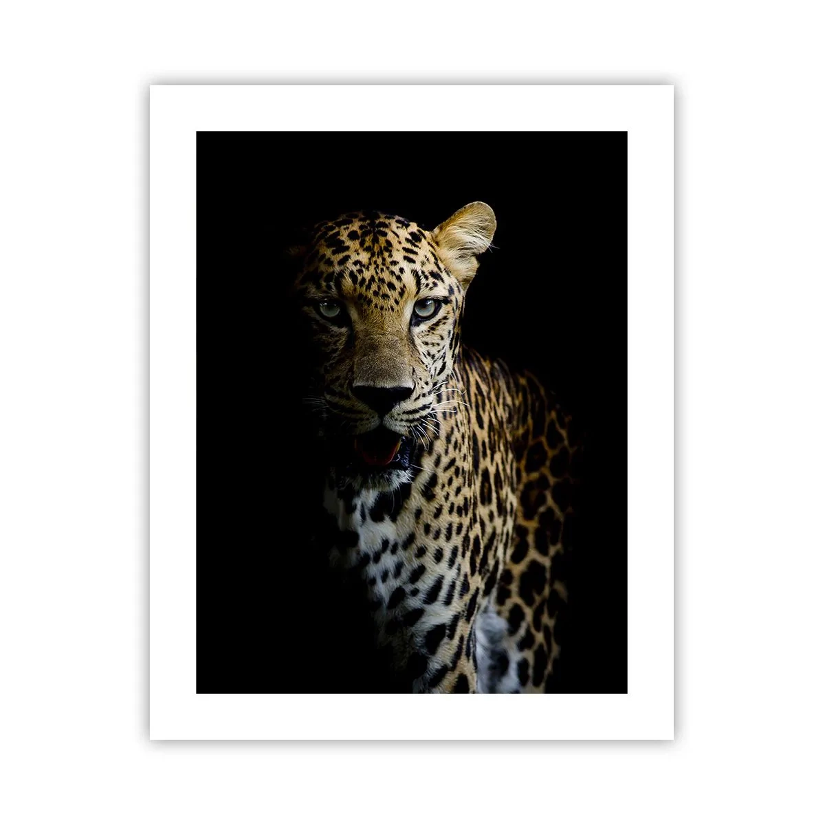 Poster - Bellezza tenebrosa - 40x50 cm