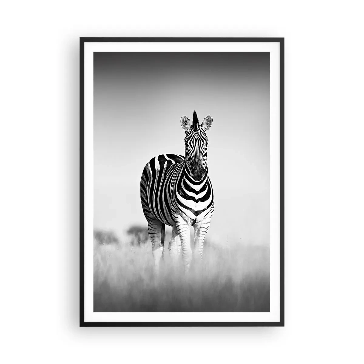 Poster in cornice nera - E tuttavia il mondo è bianco e nero - 70x100 cm