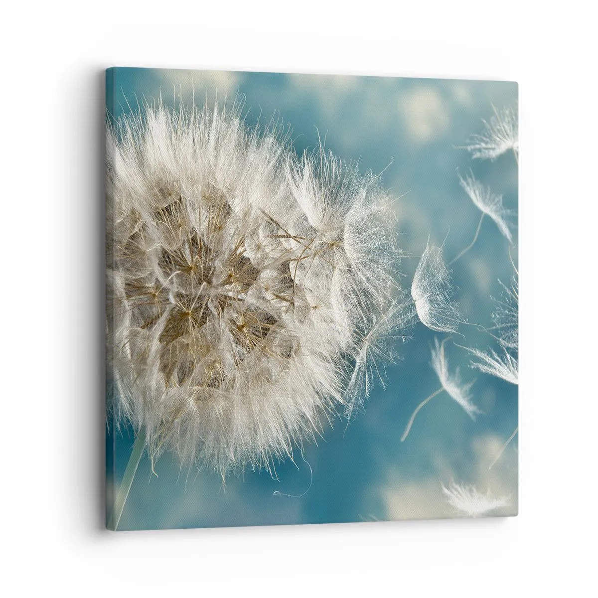 Quadro su tela - Stampe su Tela - Il respiro dell'angelo - 30x30 cm