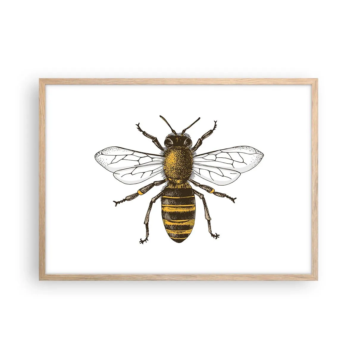 Poster in cornice rovere chiaro - Bella e buona - 70x50 cm