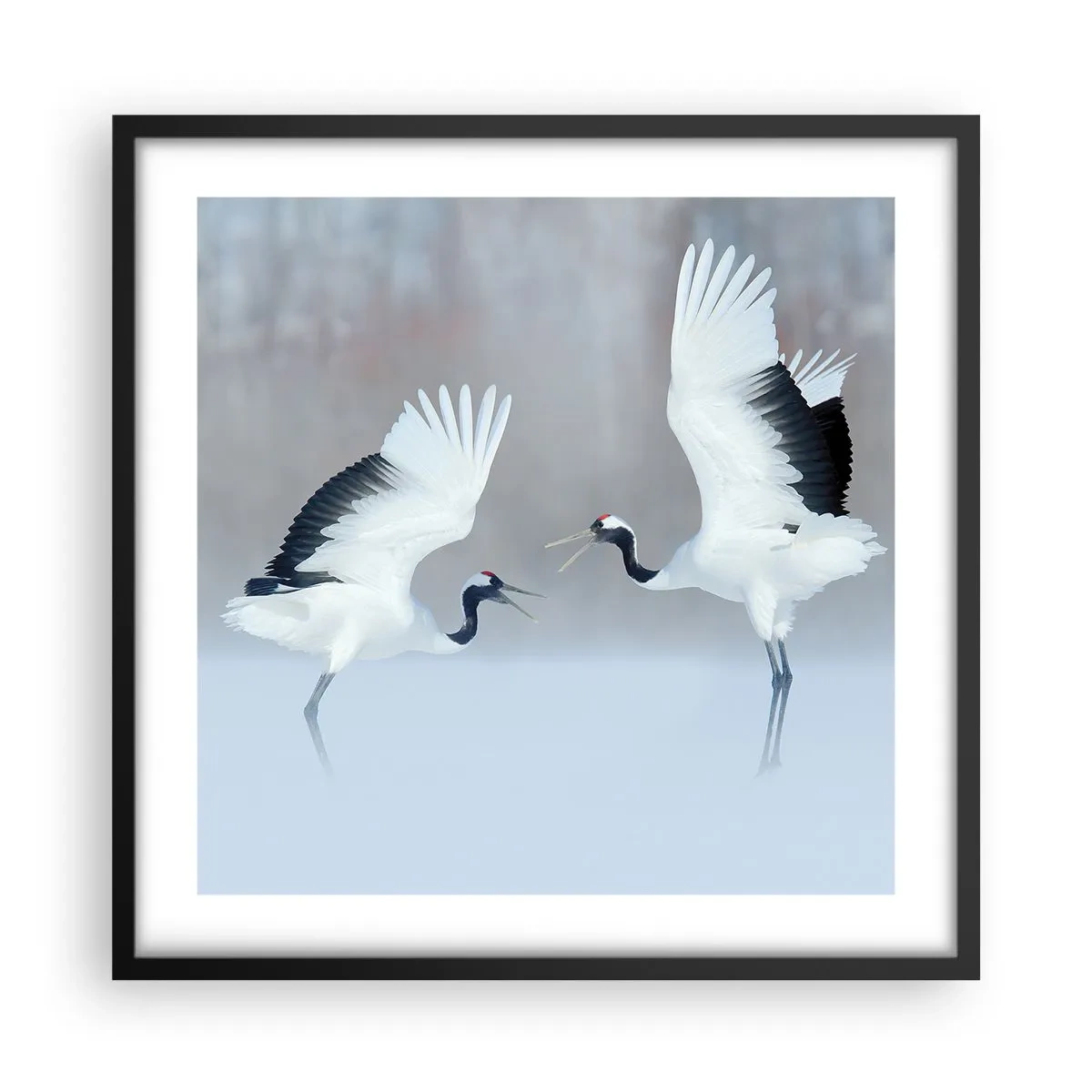 Poster in cornice nera - Danza nella nebbia - 50x50 cm