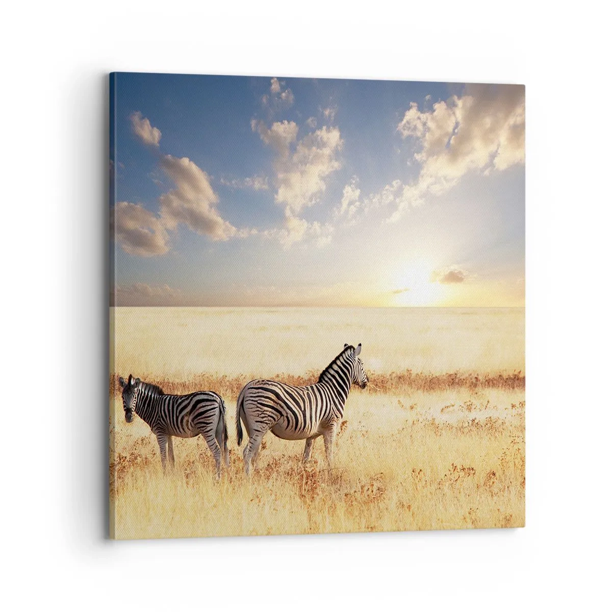 Quadro su tela - Stampe su Tela - Allontanati, non disturbare - 70x70 cm