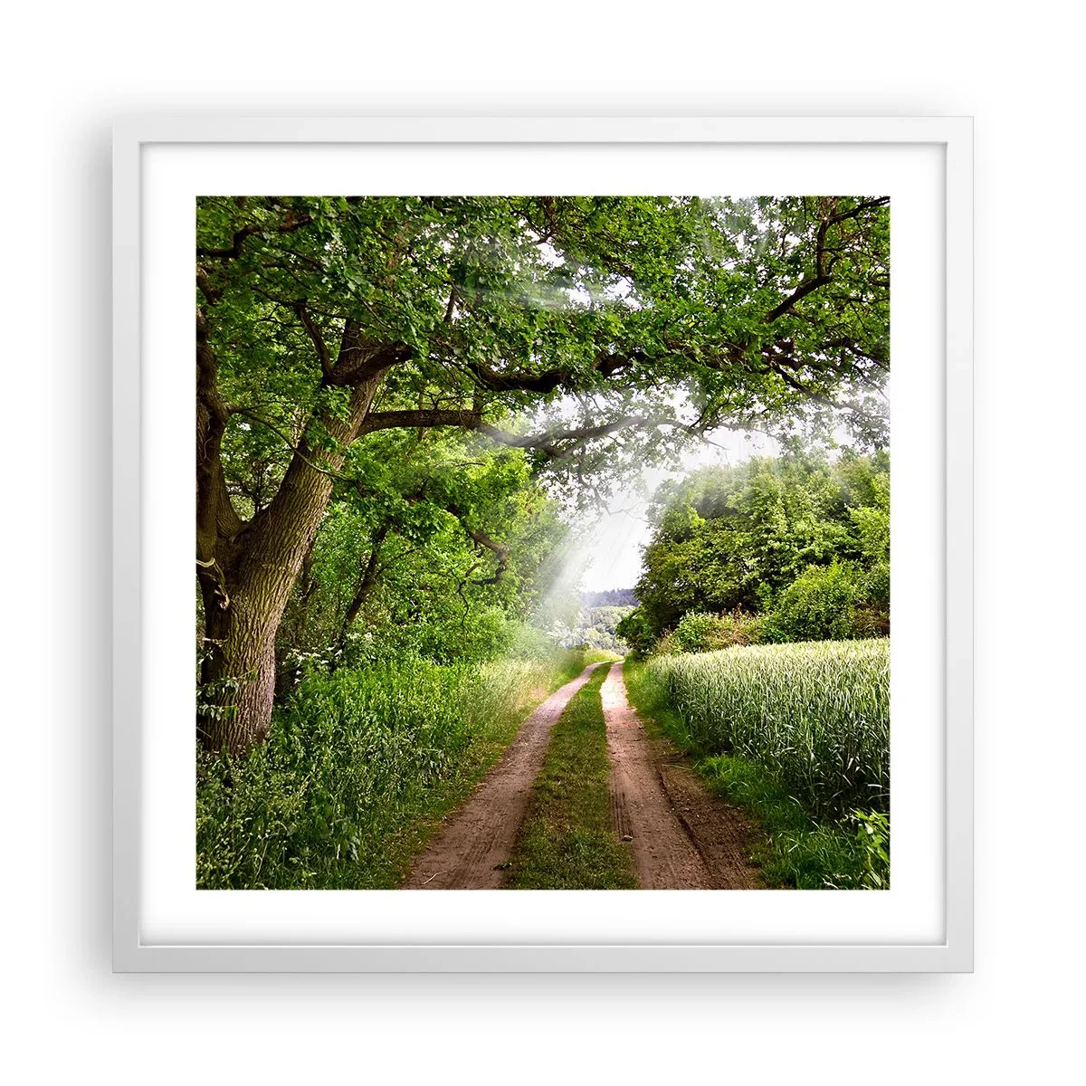 Poster in cornice bianca - Et in Arcadia ego - 50x50 cm